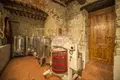 Propriété commerciale 744 m² à Gaiole in Chianti, Italie