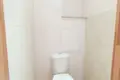 Ferienhaus 371 m² Kalodziscanski sielski Saviet, Belarus
