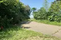 Land 5 005 m² Tsikhisdziri, Georgia