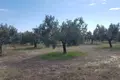 Atterrir 1 chambre  Kalandra, Grèce