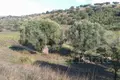 Atterrir 6 662 m² Nikiti, Grèce