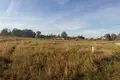 Atterrir  Alytus, Lituanie
