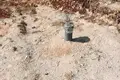Земельные участки  Кунье, Черногория