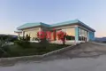 Commercial property 3 rooms 880 m² in Polystylo, Greece