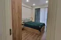 Bright New Apartment for Rent in Ortachala, Tbilisi