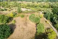Land 1 room 3 902 m² Otwock, Poland