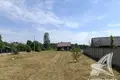 Casa 43 m² Znamienski sielski Saviet, Belarús