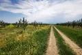 Działki 11 740 m² Gori, Gruzja