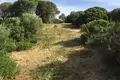 Casa 300 m² Barbate, Španjolska