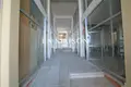Investment 1 000 m² in Paphos Municipality, Cyprus