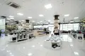 Gewerbefläche 4 600 m² Piaseczno, Polen
