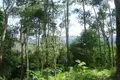Atterrir  Sakhu, Thaïlande