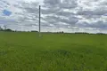 Appartement 5 382 m² Kruszki, Pologne