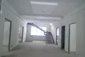 Rezydencja 403 m² Ałmaty, Kazachstan