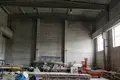 Propriété commerciale 2 050 m² à Bezdoniai Eldership, Lituanie