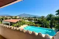 Haus 7 Schlafzimmer 834 m² San Pedro Alcantara, Spanien
