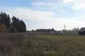 Działki  Bolsevrudskoe selskoe poselenie, Rosja