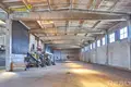 Zakład produkcyjny 3 322 m² Khvojniki, Białoruś