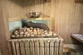 Maison 43 m² Muchaviecki sielski Saviet, Bélarus