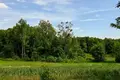 Parcelas 31 500 m² Buszewo, Polonia