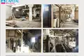 Commercial property 7 500 m² in Viskonys, Lithuania