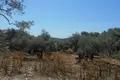 Parcelas  Thassos Municipality, Grecia