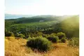 Parcelas 9 700 m² Cara, Croacia