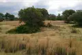 Działki 1 pokój  Gerakini, Grecja