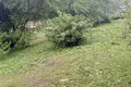 House 50 m² Varonca, Belarus