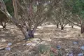 Land 1 room  Municipality of Agios Nikolaos, Greece