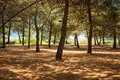Atterrir 25 687 m² Megali Panagia, Grèce
