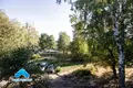2 room apartment 53 m² Novaja Milca, Belarus