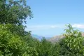 Land  Thassos Municipality, Greece