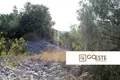 Parcelas  Opcina Dezanovac, Croacia