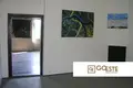 4 room house  Opcina Dezanovac, Croatia
