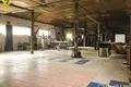 Warehouse 1 room 502 m² in Asipovichy District, Belarus