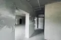 Commercial property 147 m² in Fanipal, Belarus