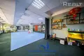 Коммерческое помещение 321 м² Минск, Беларусь