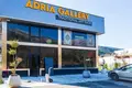Commercial property 615 m² in Radanovici, Montenegro