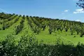 Działki 73 000 m² Opcina Koncanica, Chorwacja