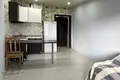 1 room apartment 28 m² Kopishche, Belarus