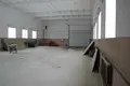 Manufacture 1 194 m² in Tomkavicy, Belarus