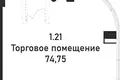 Commercial property 75 m² in Moscow, Russia