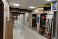 Propiedad comercial 1 550 m² en Lyepyel, Belarús
