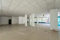 Geschäft 1 zimmer 900 m² in Kestel, Türkei