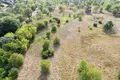 Land 1 room 3 902 m² Otwock, Poland