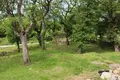 4 bedroom house 250 m² Montenegro, Montenegro