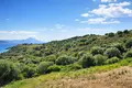 Atterrir 11 000 m² Megali Panagia, Grèce