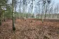 Grundstück 1 zimmer 1 343 m² Warschau, Polen