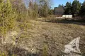 Land  Zabinkauski sielski Saviet, Belarus